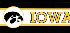 University of Iowa Hawkeye Wallpaper Border BE7123