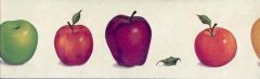 Mixed Fruit Discount Wallcovering