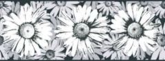 Abstract Daisy Flowers Wallpaper Border - York Wallcoverings