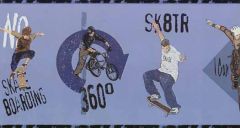 Skateboard Cycling Wallpaper Border