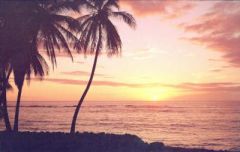 Hawaiian Sunset Wallpaper Mural