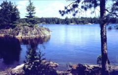 Lake in the Woods Mural