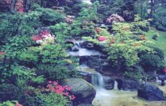 Oriental Garden Wallpaper Mural