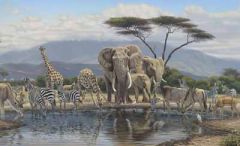 Gathering Place Wallpaper Mural