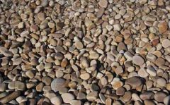 Pebbles Wall Paper Mural