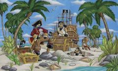 Pirate Treasurer Wallpaper Mural- only 1