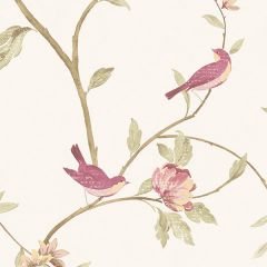 CG28803 Floral Bird Sidewall Wallpaper Raspberry, Cream Rose Garden 2 Norwall Wallcovering