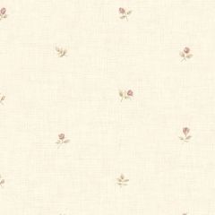 CG28854 Rose Buds Wallpaper Pink, Beige, Cream, Green Garden 2 Norwall Wallcovering