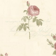 CG28861 Script Rose Wallpaper Pink, Beige, Cream, Green Garden 2 Norwall Wallcovering