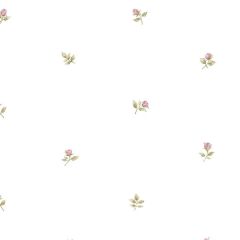 CG28872 Rose Buds Wallpaper Pink, Ochre, Green Garden 2 Norwall Wallcovering