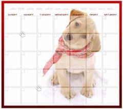 Puppy Jotz Dry Erase Calendar