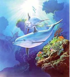Dolphins Mural