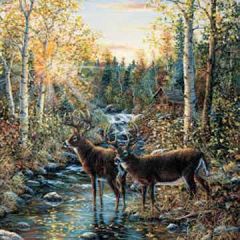 Whitetail Deer Wallpaper Mural