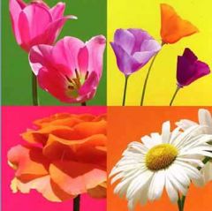 Fun Blocks Flower Mural - 1 left