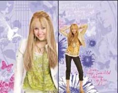 Hannah Montana Disney Wall Cutouts