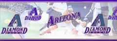 Arizona Diamondbacks Baseball Sports Wallpaper Border