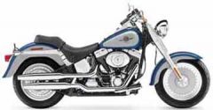 Harley Davidson Fat Boy Wall Mural 67116M - Only 1 Left
