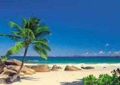 Seychellen Beach Mural