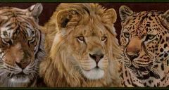 Safari Cats Wallpaper Border ADV2043B