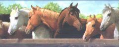 Blue Horse Feeding Time Wallpaper Border