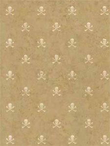 Skull and Crossbones Wall Paper