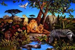Jungle Chair Rail Wallpaper Mural