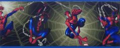Black Spiderman Wallpaper Border- 3 Rolls Left