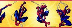 Spiderman Wallpaper and Border