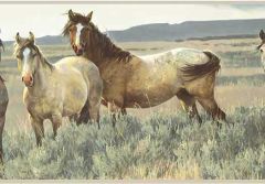 Tan Horse Border