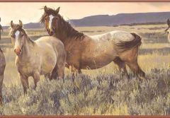 Brown Horse Wallpaper Border