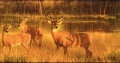 White Tail Lake Wallpaper Border