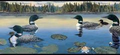 Loon Wallpaper Border