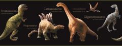 Candice Olson Black Dino Wallpaper Border