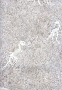 Candice Olson Dinosaur Fossil Wallpaper