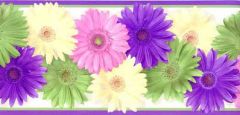 Daisy Chain Wallpaper Border CK83241B