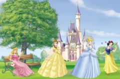 Fantasy Princess Wallpaper Mural