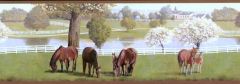 Childrens Horse Wallpaper Border