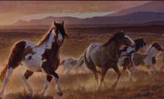 Desert Horse Chair Rail Mural HJ6718M