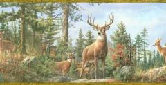 Fern Brown Whitetail Deer Wallpaper Border - Chesapeake Wallcovering
