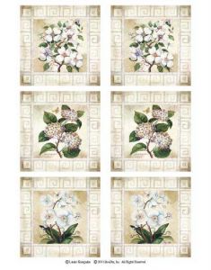 Do It Yourself Flower Wallpaper IdeaStix Murals IS3243