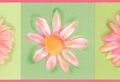 Pink Daisy Wallpaper Border