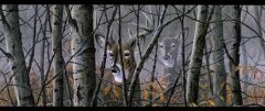 Deer in the Woods Wall Paper Border
