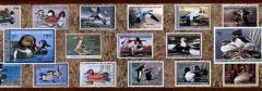 Brown Federal Duck Wallpaper Border