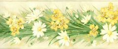 Daisy and Daffodil Wallpaper Border MK77685B