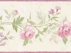 Beige and Pink Vines of Roses Wallpaper Border - Patton Norwall