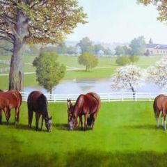 Horse Farm Wallposters