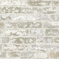 Up the Wall Beige Gray Wallpaper