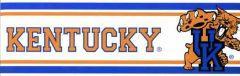 University of Kentucky Wallpaper Border