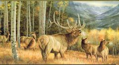 Elk Gathering Wall Paper Border
