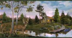 Buck By The Cabin Wall Paper Border